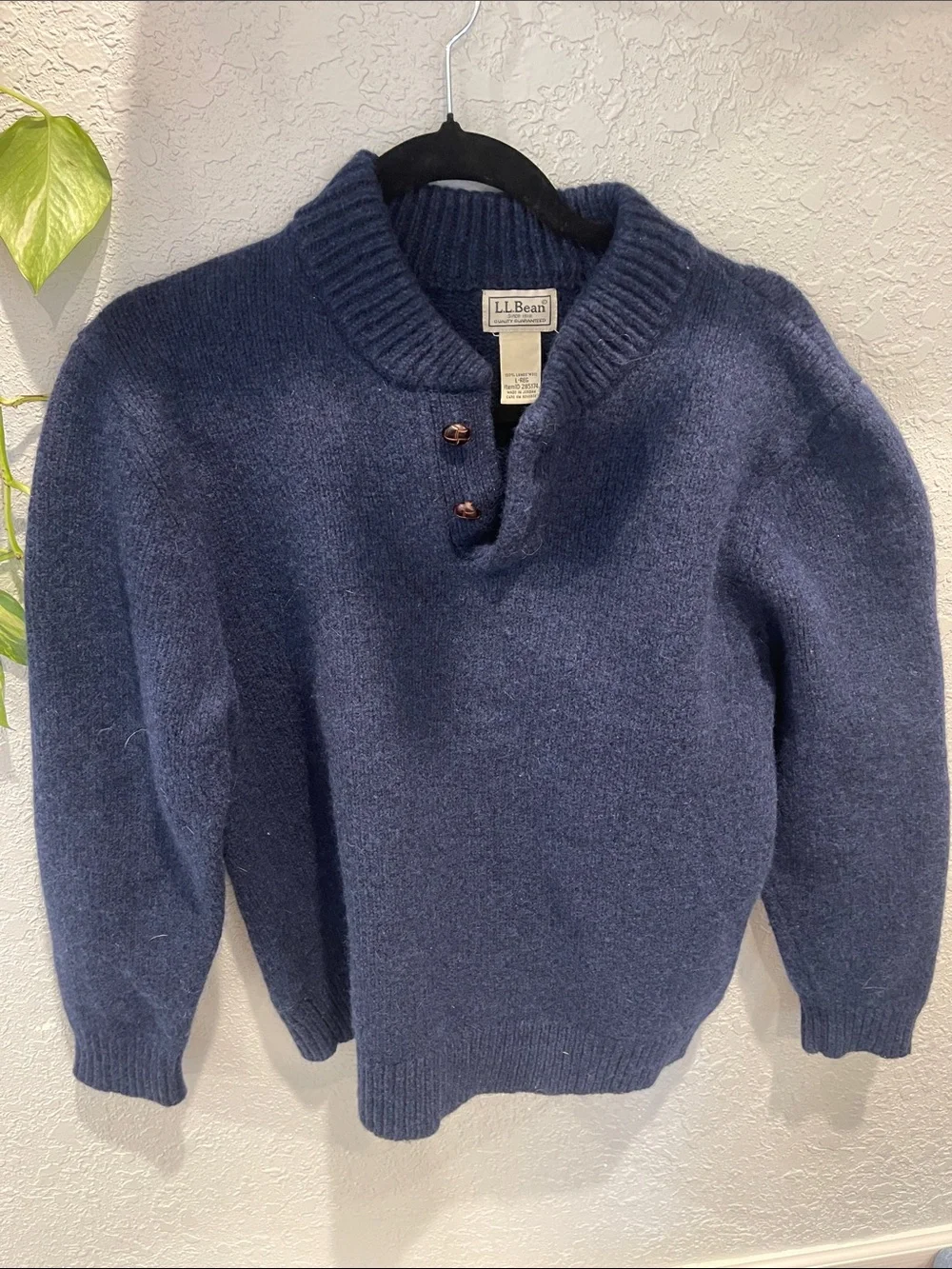 L.L. Bean Men's Navy V-Neck Wool Pullover